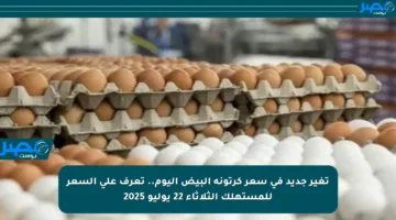 تغير جديد في سعر كرتونة البيض اليوم.. تعرف على السعر للمستهلك الثلاثاء 22 يوليو 2025